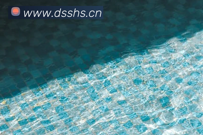 App Interface Preview